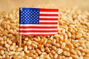 USA America on grain wheat, trade export and economy concept. photo