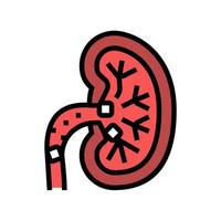 kidney stones color icon vector illustration