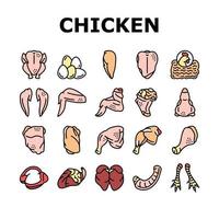 pollo animal granja carne cruda alimentos iconos conjunto vector