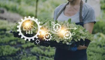 un hombre de negocios futurista cultiva verduras y cultivos usando tecnología moderna de inteligencia artificial usando teléfonos móviles, sensores de temperatura y humedad, rastreo de agua, control climático, íconos de datos holográficos. foto