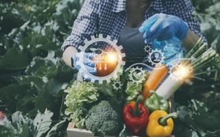 un hombre de negocios futurista cultiva verduras y cultivos usando tecnología moderna de inteligencia artificial usando teléfonos móviles, sensores de temperatura y humedad, rastreo de agua, control climático, íconos de datos holográficos. foto