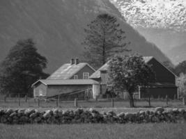 Eidfjord and the hardangerfjord in norway photo