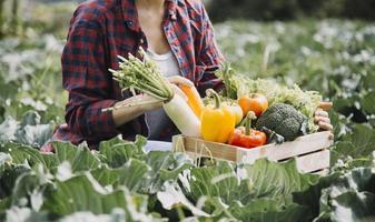 female farmer working early on farm holding wood basket of fresh vegetables and tablet photo