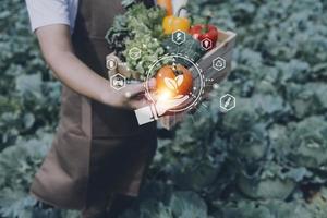 Futuristic businessman farms vegetables and crops using modern AI technology using mobile phones, temperature and humidity sensors, water tracking, climate control, holographic data data icons. photo