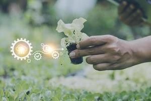 un hombre de negocios futurista cultiva verduras y cultivos usando tecnología moderna de inteligencia artificial usando teléfonos móviles, sensores de temperatura y humedad, rastreo de agua, control climático, íconos de datos holográficos. foto