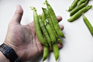 Green fresh peas in hand on a white background. An open string of fresh peas. photo