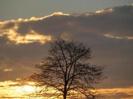 autumn time in westphalia photo