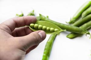 Green fresh peas in hand on a white background. An open string of fresh peas. photo