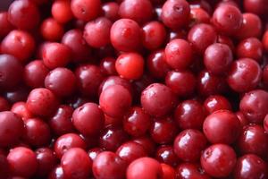 Large red ripe cherry close-up. Background of cherry berries. photo