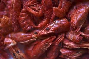 Red peppered shrimp as a background. Delicious shrimp close-up. Delicious seafood appetizer. photo