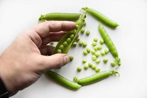 Green fresh peas in hand on a white background. An open string of fresh peas. photo