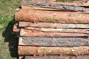 Wooden clippings of a coniferous tree as a close-up background. photo