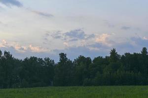 Evening landscape of green forest and multicolored clouds. Beautiful sunset with blue-pink clouds. photo