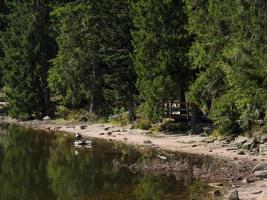 the black forest in germany photo