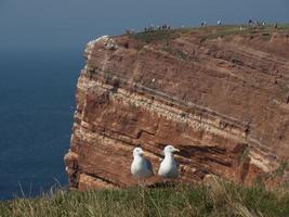 isla de helgoland en el mar del norte foto