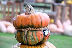 calabazas en el muensterland alemán foto