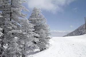 In the snowy mountains near Kusatsu Onsen, Japan photo