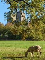 convent in the german muensterland photo