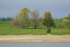 the river rhine near wesel photo