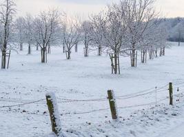 winter time at a german castle photo