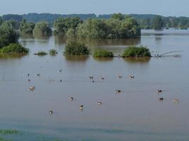 the river rhine near bislich photo