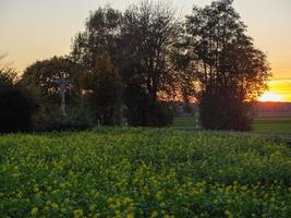 sundown in the german muensterland photo