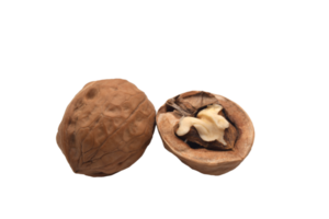 walnut whole and split half on a transparent background png