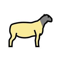 dorper sheep color icon vector illustration