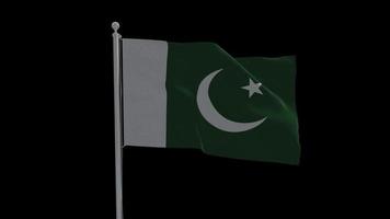 vlag van pakistan zwaaien op paal transparante achtergrond met alpha video