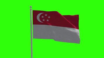 singapour, agitant, drapeau, sur, poteau, écran vert, fond video