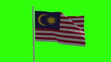 malaysische wehende flagge auf stangengrünem bildschirmhintergrund video