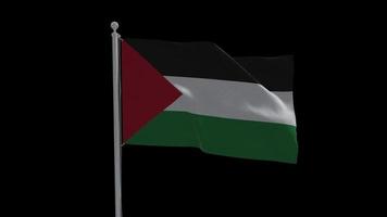 palestina ondeando la bandera en el poste de fondo transparente con alfa video