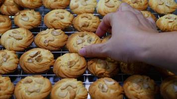 les gens préparent des biscuits à l'intérieur de la cuisine de la maison, le chef prépare un désert de collation de cuisine d'événement d'anniversaire traditionnel, le plaisir des modes de vie célèbre l'événement video