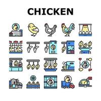 Chicken Meat Factory Collection Icons Set Vector