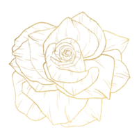 flor rosa con arte lineal dorado png