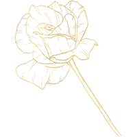 flor rosa con arte lineal dorado png