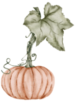 Thanksgiving Herbst Herbst Aquarell Cliparts png