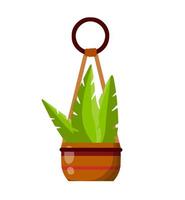 Hanging pot decoration. Homemade plant in planter. Vector flat illustration isolated on white background.