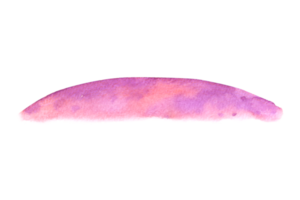 Violet ground watercolor png