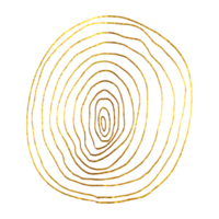 Gold abstract line art and brush png