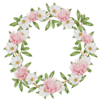 Flower wreath and frame watercolor png