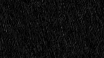 animazione di metraggio di gocce di pioggia che cade su sfondo scuro. pioggia battente sull'asfalto. forte goccia di pioggia nell'effetto della stagione delle piogge, pioggia che cade, animazione della pioggia su sfondo nero, animazione alfa di pioggia in loop video