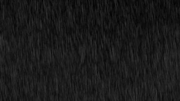 fallande regndroppar filmer animation i mörk bakgrund. kraftigt regn på asfalt. kraftigt regn droppe i regnperioden effekt, fallande regn, regn animation på svart bakgrund, regn looped animation alfa video