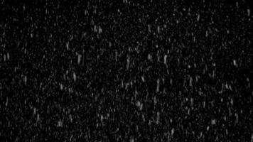 concepto de caída de nieve, caída de nieve en bucle, caída de nieve en bucle, fondo abstracto de nevada alfa, fuerte caída de nieve sobre fondo negro, caída de copos de nieve superpuestos