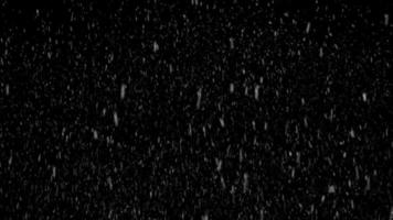 concepto de caída de nieve, caída de nieve en bucle, caída de nieve en bucle, fondo abstracto de nevada alfa, fuerte caída de nieve sobre fondo negro, caída de copos de nieve superpuestos video