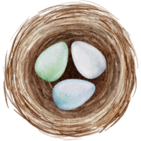 uova di pasqua nell'acquerello del nido png