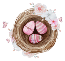 Easter eggs in the nest watercolor png