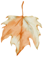 acción de gracias otoño otoño acuarela clipart png