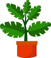 Home plant in pot. Large green leaves.Element of decoration and gardening. Cartoon flat illustration. Hobbies and flora vector