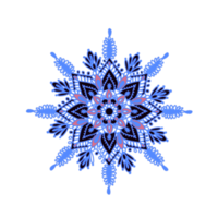 fiocco di neve, illustrazione dell'ornamento png